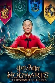 Harry Potter: Il torneo delle case Hogwarts